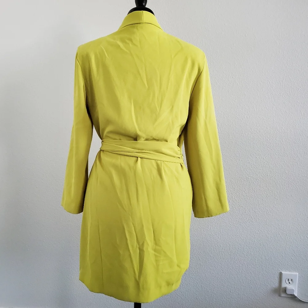 ZARA Dress - Picture 9 of 12